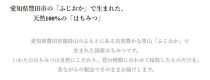 いわたの 国産天然はちみつ 250g 上百花 2本と ヘアリーベッチ1本セット（化粧箱入り）