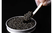 【京都吉兆】熟成うま味キャビアーオシェトラー&nbsp;12g×2個