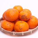 ［先行予約］家庭用 カラマンダリン10kg+250g（傷み補償分）［南津海・なつみ］［希少な春柑橘］［わけあり・訳あり］［みかんと同じように食べられます］［IKE69］