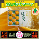 1・4月発送&nbsp;全2回&nbsp;定期便&nbsp;はっさく&nbsp;マニア&nbsp;貯蔵&nbsp;＆&nbsp;木成完熟&nbsp;特秀&nbsp;7&nbsp;～&nbsp;10玉&nbsp;和歌山&nbsp;有田&nbsp;南泰園