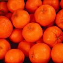 ［先行予約］家庭用&nbsp;ポンカン2.5kg+250g（傷み補償分）［IKE23］