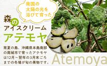 ＜先行受付＞【数量限定】南城市で育った森のアイスクリーム：アテモヤ（２kg箱詰め）