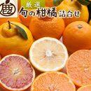 ＜1月上旬～4月下旬発送＞厳選 柑橘詰合せ約3kg+90g（傷み補償分）【有田の春みかん詰め合わせ・フルーツ詰め合せ・オレンジつめあわせ】【光センサー選別】