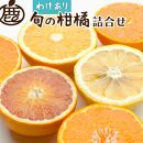 ＜1月上旬～4月下旬発送＞【家庭用】柑橘詰合せ約3kg+90g（傷み補償分）【訳あり・わけあり】【有田の春みかん詰め合わせ・フルーツ詰め合せ・オレンジつめあわせ】【光センサー選別】