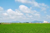 【新潟の夏をお届け！】旬の「黒埼茶豆」(1kg）と銘酒「久保田 純米大吟醸」(720ml）セット