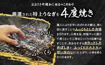 鹿児島県産うなぎカット蒲焼5袋　計250g以上（パック個包装）