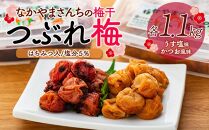 なかやまさんちの梅干（1.1kg×2箱）うす塩（はちみつ入）塩分5％とかつお風味（はちみつ入）塩分5％セット【つぶれ梅】【訳あり】