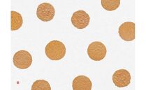 桂新堂&nbsp;炙り焼き詰合せ（27袋入）