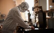 桂新堂&nbsp;海老づくし（4カップと13袋入）