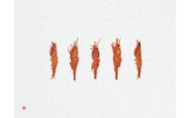 桂新堂&nbsp;海老づくし（4カップと13袋入）