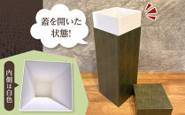 でらでっかいワニ筒