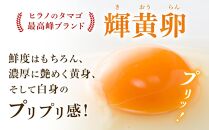 ヒラノのたまご 輝黄卵（きおうらん）72個（6個入り×12パック）【卵 たまご タマゴ 生卵 鶏卵 卵 国産 たまご 卵 玉子 タマゴ 鶏卵 たまごやき 卵かけご飯 卵焼き たまご 新鮮 直送 朝ごはん 卵かけごはん AJ006】