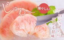 先行販売！【モモ】 白鳳　桃の王様！約2kg6～8個 【2025年6月末頃より順次発送】【秀品】こだわり農家厳選 【KG12】