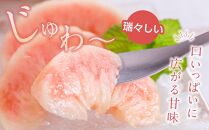 先行販売！【モモ】 白鳳　桃の王様！食べきりやすい３個入り【2025年6月末頃より順次発送】【秀品】こだわり農家厳選 【KG17】