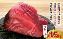 生まぐろの本場紀州勝浦から直送！　生メバチマグロ 約1.5kg