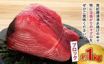 生まぐろの本場紀州勝浦から直送！　生メバチマグロ 約1kg