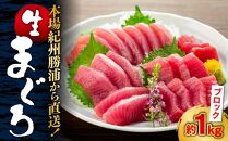 【ギフト用】生まぐろの本場紀州勝浦から直送！　生メバチマグロ 約1kg