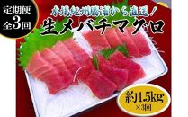 【定期便全3回】生まぐろの本場紀州勝浦から直送！　生メバチマグロ 約1.5kg（1カ月に1回お届け）（全3ヵ月）