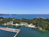 ホテル浦島　日昇館ペア宿泊券