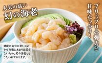 【先行予約】幻の海老 天然 モサエビ むき身 無添加 お刺身 500ｇ（100ｇ×5P）