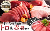 プレミア和歌山認証品 本マグロ（養殖）トロ＆赤身セット　240g