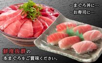 プレミア和歌山認証品 本マグロ（養殖）トロ＆赤身セット　240g