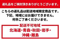 活 伊勢海老 1kg（2～4匹）南紀黒潮イセエビ 年末年始 お正月 お届け可【着日指定必須】｜期間限定 漁師直送 海鮮 海老 とれたて 人気