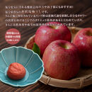 紀州南高梅&nbsp;りんご梅&nbsp;850g×1箱&nbsp;［Kn5］
