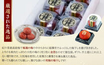 極選の梅&nbsp;天帝の舞&nbsp;1箱10粒入り&nbsp;［Kn11］