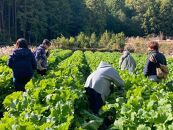 食の生産現場を巡り、地域の食をいただく 体験レストランチケット 2名様分