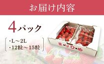 まりひめイチゴ L～２L 12粒～15粒×4パック【2025年1月初旬から発送】【先行販売】【KG8】