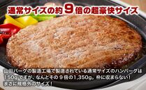 山田バーグ 1350g