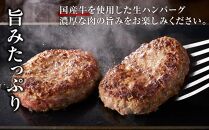 国産牛生ハンバーグ 10個入り