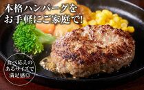 国産牛生ハンバーグ 10個入り