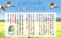 【先行予約】【新米】自社栽培米佐渡産こしひかり（玄米5kg）