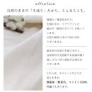 オーガニックコットンフランネルピローケース&nbsp;43Ｘ120&nbsp;Ｌタイプ