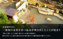 八雲温泉おぼこ荘 宿泊割引券 40,000円分【 宿泊券 割引券 旅行 ホテル ホテルチケット 宿泊チケット チケット 40,000円分 観光 宿泊 ご当地 八雲町 北海道 】