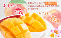 【2026年先行予約】奄美&nbsp;加計呂麻島&nbsp;完熟マンゴー&nbsp;家庭用&nbsp;約1kg（2～3玉入り）化粧箱【完熟マンゴー&nbsp;化粧箱&nbsp;果物&nbsp;マンゴー&nbsp;くだもの&nbsp;食品&nbsp;農家直送&nbsp;フルーツ&nbsp;飲料&nbsp;果汁飲料&nbsp;ドリンク&nbsp;季節限定&nbsp;先行予約&nbsp;贈り物&nbsp;ギフト&nbsp;鹿児島県&nbsp;奄美大島&nbsp;瀬戸内町】