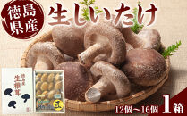 徳島県産&nbsp;生しいたけ&nbsp;&nbsp;1箱(12個～16個）