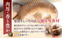 徳島県産&nbsp;生しいたけ&nbsp;&nbsp;1箱(12個～16個）