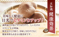 徳島県産&nbsp;生しいたけ&nbsp;&nbsp;1箱(12個～16個）