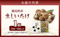 徳島県産&nbsp;生しいたけ&nbsp;&nbsp;1箱(12個～16個）
