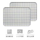 【ブルー2枚組】&nbsp;SR&nbsp;トレー&nbsp;L&nbsp;39cm&nbsp;ミルキーチェック&nbsp;タツクラフト&nbsp;【Tk208】