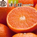 ［先行予約］厳選&nbsp;津之輝1kg+250g（傷み補償分）［つのかがやき］［せとかに似た柑橘］［光センサー選果］［IKE55］