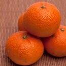 ［先行予約］厳選&nbsp;津之輝1kg+250g（傷み補償分）［つのかがやき］［せとかに似た柑橘］［光センサー選果］［IKE55］