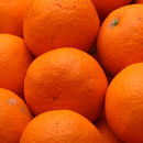 ［先行予約］家庭用 清見オレンジ10kg+250g（傷み補償分）［光センサー食頃出荷］［樹上完熟きよみオレンジ・清見タンゴール・清美］［わけあり・訳あり］［IKE64］