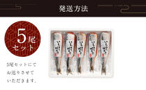 【福岡市】那嘉島のいわし明太子【中島商店】　5本入り