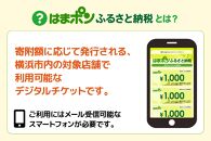 はまポンふるさと納税チケット3000円分（1000円×3枚）