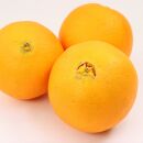 ［先行予約］厳選 ネーブルオレンジ2.5kg+250g（傷み補償分）［光センサー選別］［柑橘・ジュース］［IKE37］