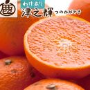 ＜2月より発送＞家庭用 津之輝1.2kg+36g（傷み補償分）つのかがやき【わけあり・訳あり】【光センサー選別】